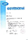 Interní auditor ISO TS